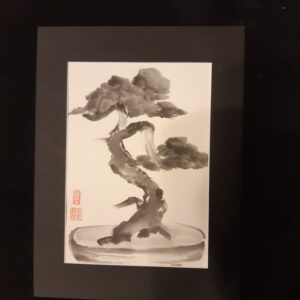 Bonzai