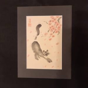 Kot