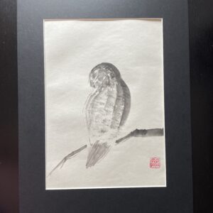 owl sumi-e