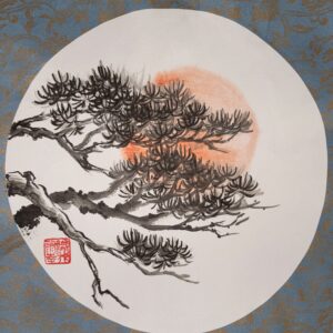 Pejzaż - sosny w słońcu